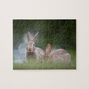 Quebra-cabeça Foto de coelhos