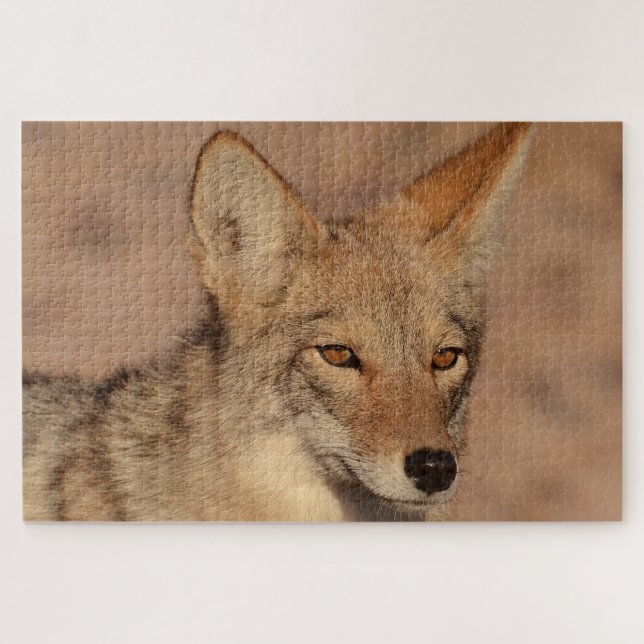 Quebra-cabeça Foto de coiote em Nevada (Horizontal)