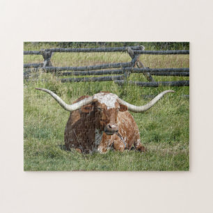 Quebra-cabeça Foto de Cow Texas Longhorn