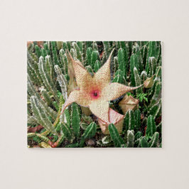 Quebra-cabeça Foto de Flor de Cactus Stapiia Starfish