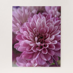 Quebra-cabeça Foto de Flor de Crisântemo Rosa