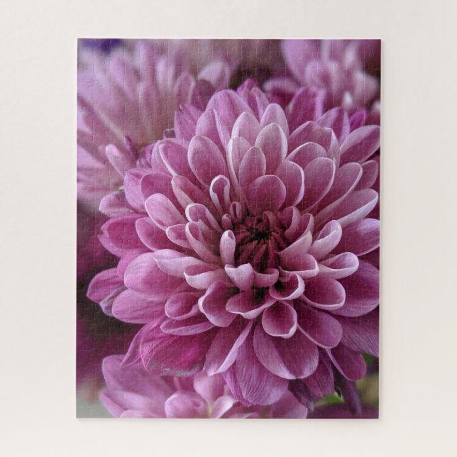 Quebra-cabeça Foto de Flor de Crisântemo Rosa (Vertical)