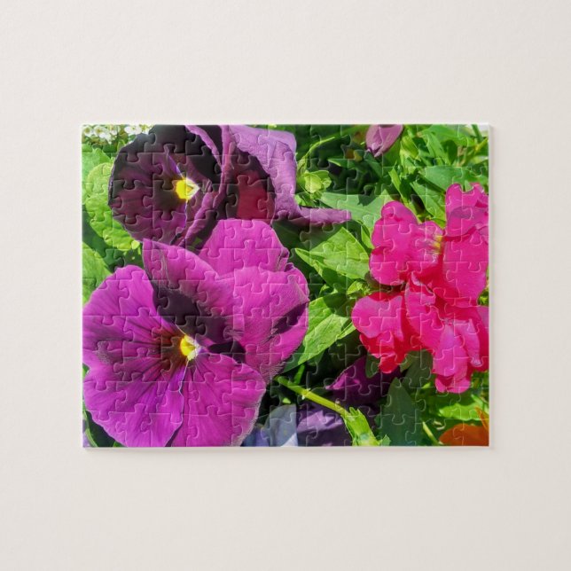 Quebra-cabeça Foto de Flor de Violetas Pensativas  (Horizontal)