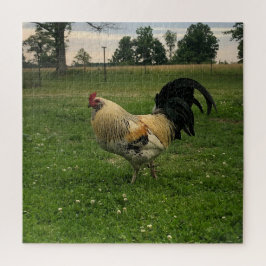 Quebra-cabeça Foto de Frango Caipira na Fazenda