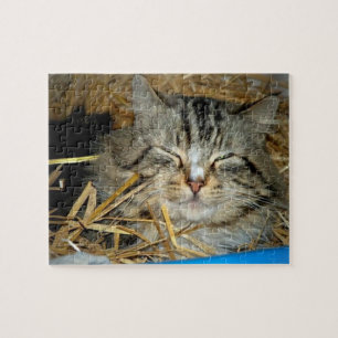 Quebra-cabeça Foto de gatinho dormindo