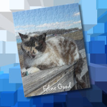 Foto de Gato de Estimação, Noite em Família, Prese