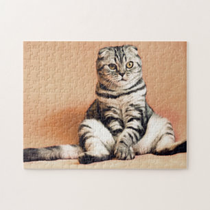 Quebra-cabeça Foto de Gato Pet Bonito