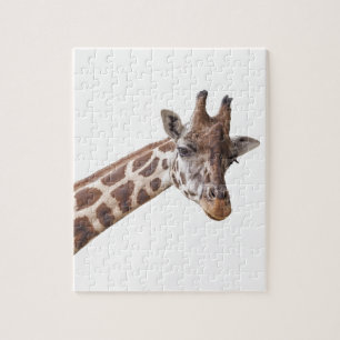 Quebra-cabeça Foto de Girafa Retrato em Branco