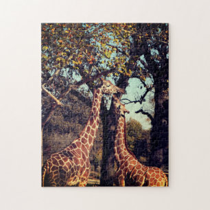 Quebra-cabeça Foto de Giraffe 