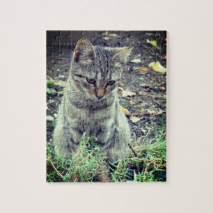 Quebra-cabeça Foto de Kitten Bonito
