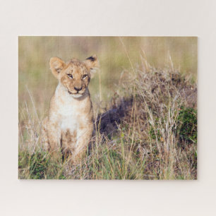 Quebra-cabeça Foto de leão-bonito na África