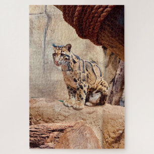 Quebra-cabeça foto de leopardo nebuloso natureza vida selvagem e