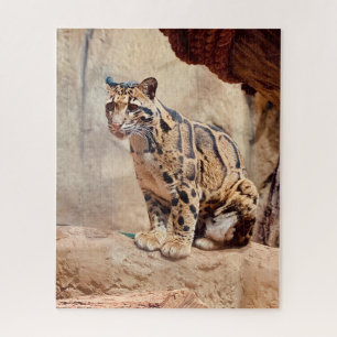 Quebra-cabeça foto de leopardo nebuloso natureza vida selvagem e