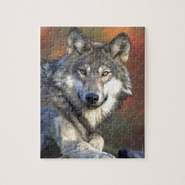 Quebra-cabeça Foto de Lobo (Vertical)