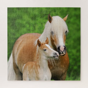 Quebra-cabeça Foto de Mãe de Beijo Fofado de Cavalos de Haflinge
