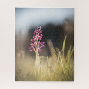 Quebra-cabeça Foto de Orquídea Selvagem na Natureza