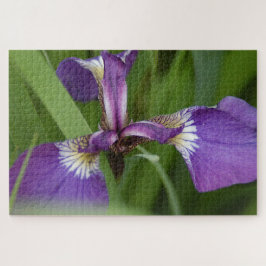 Quebra-cabeça Foto de uma linda flor de íris púrpura