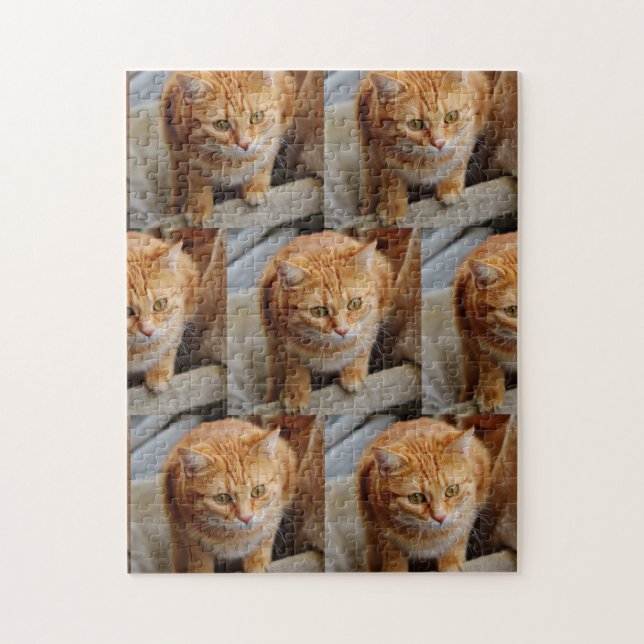 Quebra-cabeça Foto Divertida de Cachorro Gato Personalizado Cust (Vertical)