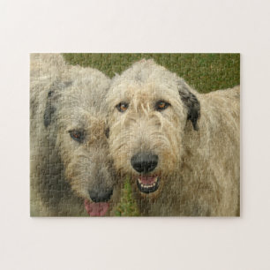 Quebra-cabeça Foto do Irish Wolfhounds