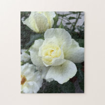 Foto do Jardim Rosa Branco