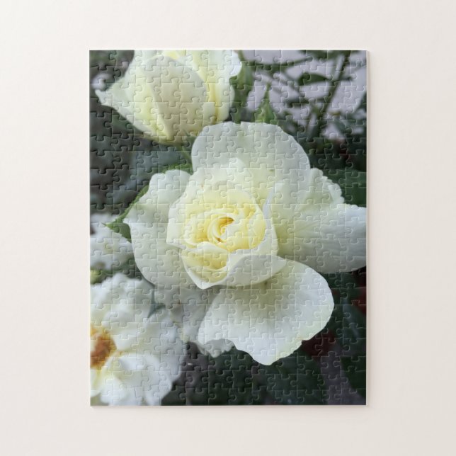 Quebra-cabeça Foto do Jardim Rosa Branco (Vertical)