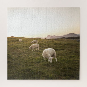 Quebra-cabeça Foto do Lofoten Sheep Nature