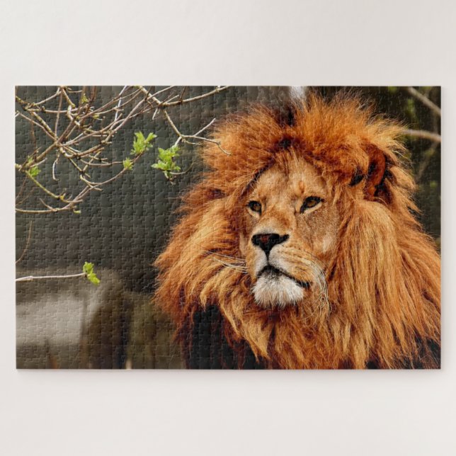 Quebra-cabeça Foto do rosto do leão castanho (Horizontal)