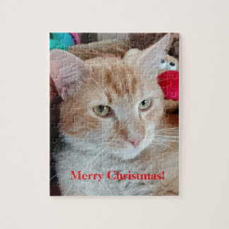 Quebra-cabeça Foto Engraçada de Gato Natal Puzzle