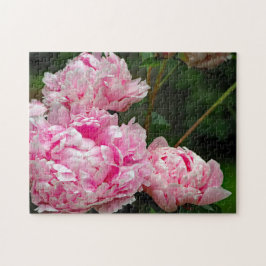 Quebra-cabeça Foto Floral bonito de Peonies Rosa