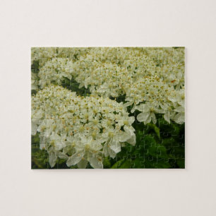 Quebra-cabeça Foto Floral de Lace Wildflower da Rainha Anne