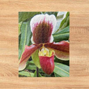 Quebra-cabeça Foto floral vermelha da orquídea de senhora