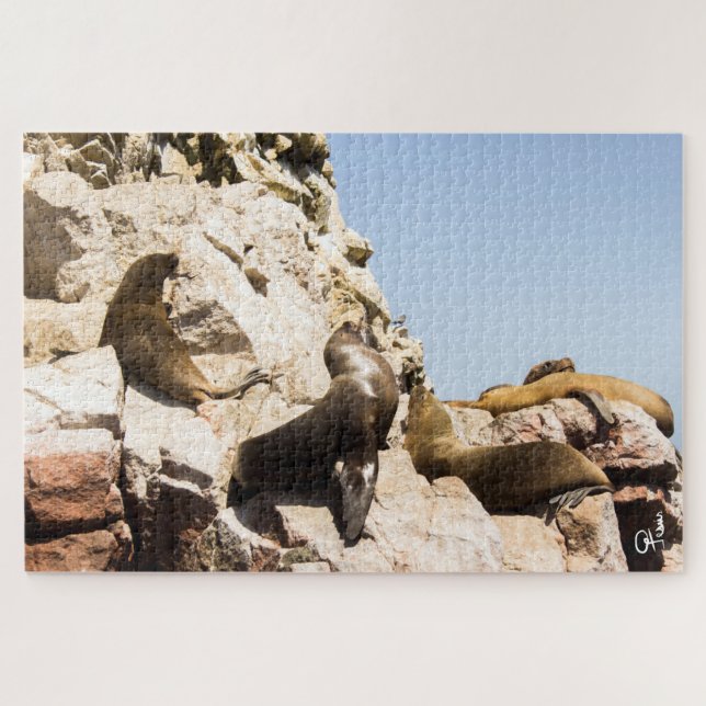 Quebra-cabeça Foto Islas Ballestas, Paracas - Perú (Horizontal)