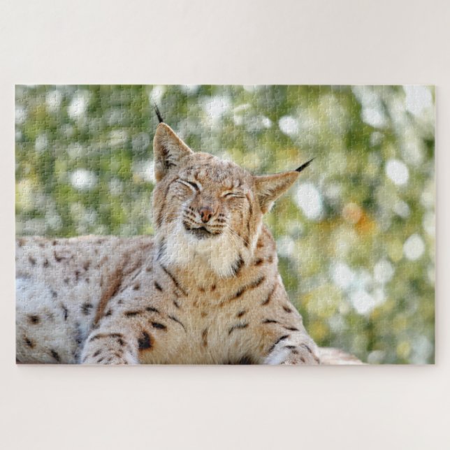 Quebra-cabeça Foto lince, animais de estimação 0296. (Horizontal)