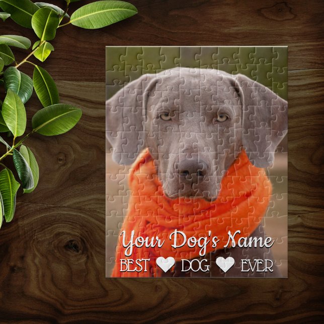 Quebra-cabeça Foto Pet da Família Personalizada (Criador carregado)