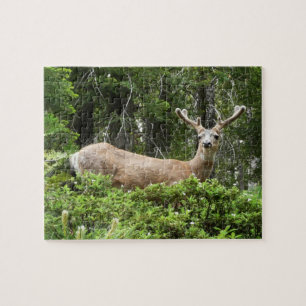 Quebra-cabeça Fotografia Animal Yosemite Deer Nature