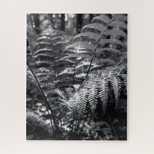 Quebra-cabeça Fotografia Cardíaca Monocromática Difícil