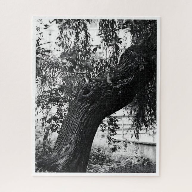 Quebra-cabeça Fotografia Cardíaca Monocromática Difícil (Vertical)