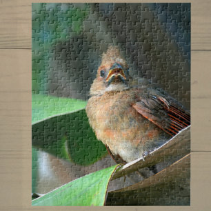 Quebra-cabeça Fotografia Cardinal em Folha