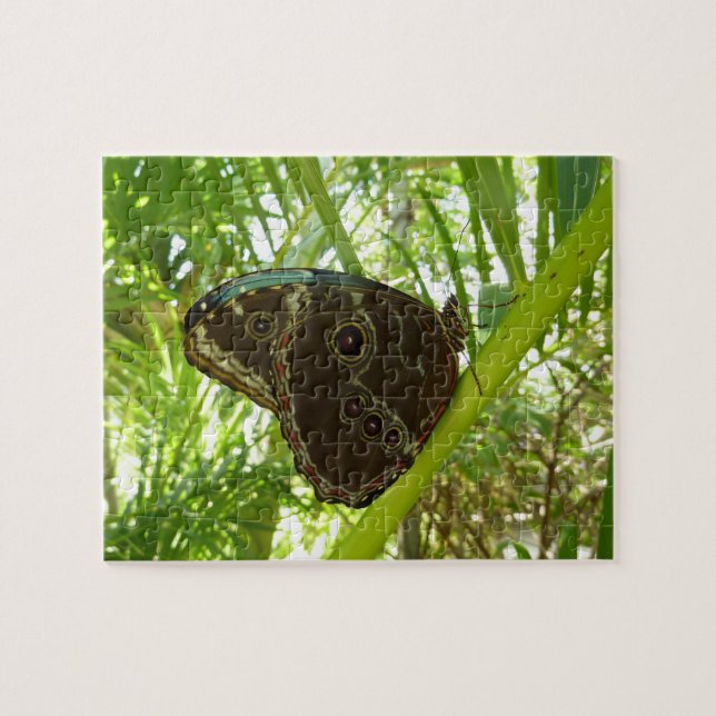 Quebra-cabeça Fotografia da Borboleta Azul Morpho na Natureza (Horizontal)