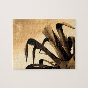 Quebra-cabeça Fotografia da fábrica Sepia Aloe Cactus gigante