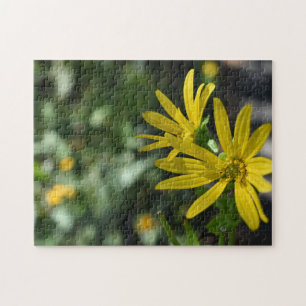 Quebra-cabeça Fotografia da Flor Amarelo da Flor