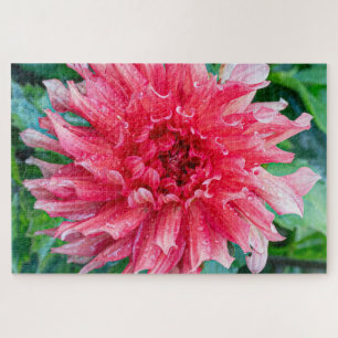 Quebra-cabeça Fotografia da Flor Canadiana Rosa Dahlia