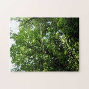 Quebra-cabeça Fotografia da Floresta Tropical de Jungle Ropes
