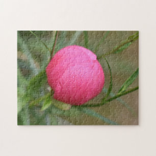 Quebra-cabeça Fotografia da Natureza com Flor de Verão rosa