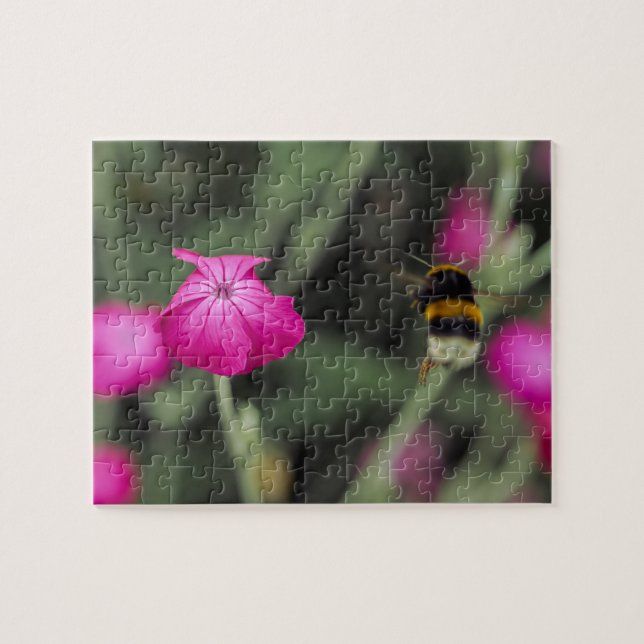 Quebra-cabeça Fotografia da Natureza de Flor Botânica Rosa e Abe (Horizontal)