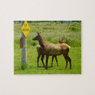 Quebra-cabeça Fotografia da vida selvagem de Elk Crossing na Cal