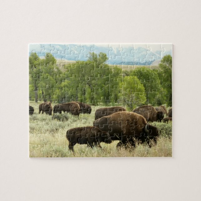 Quebra-cabeça Fotografia de Bisão da Natureza de Wyoming (Horizontal)