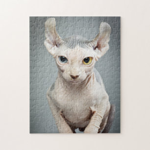 Quebra-cabeça Fotografia de gato Elf Sphynx