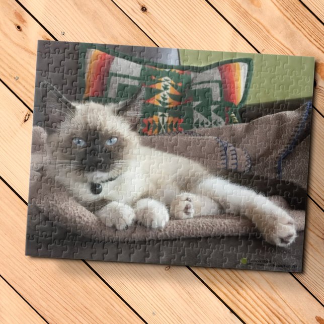 Quebra-cabeça Fotografia de Glamor Blue Eyed Siamese Kitten (Criador carregado)