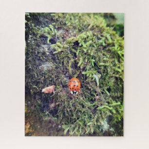 Quebra-cabeça Fotografia de joaninha no musgo